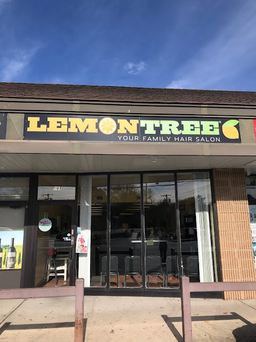Lemon Tree Hair Salon Commack Northgate Shopping Center